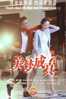 美梦成真电视剧